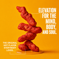 FLYING FLAMIN HOTS
